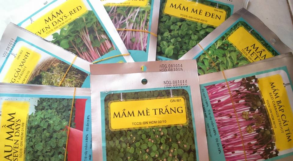 Hạt giống rau mầm, trồng rau mầm, kĩ thuật trồng rau mầm, trồng rau sạch 